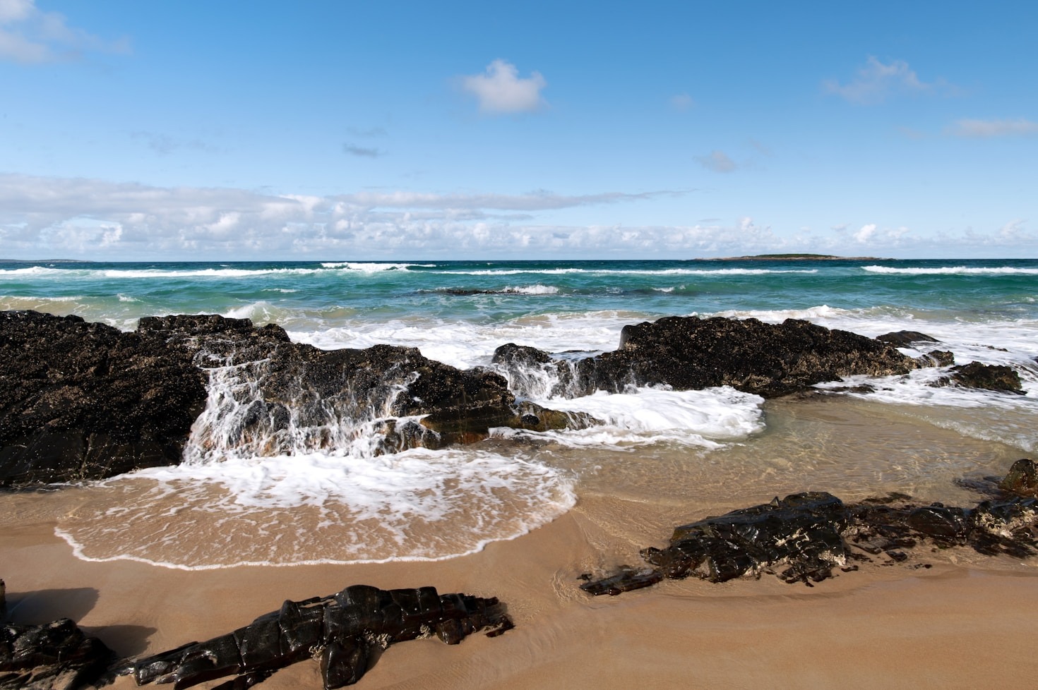 Top Ocean-Inspired Stories of the Month
