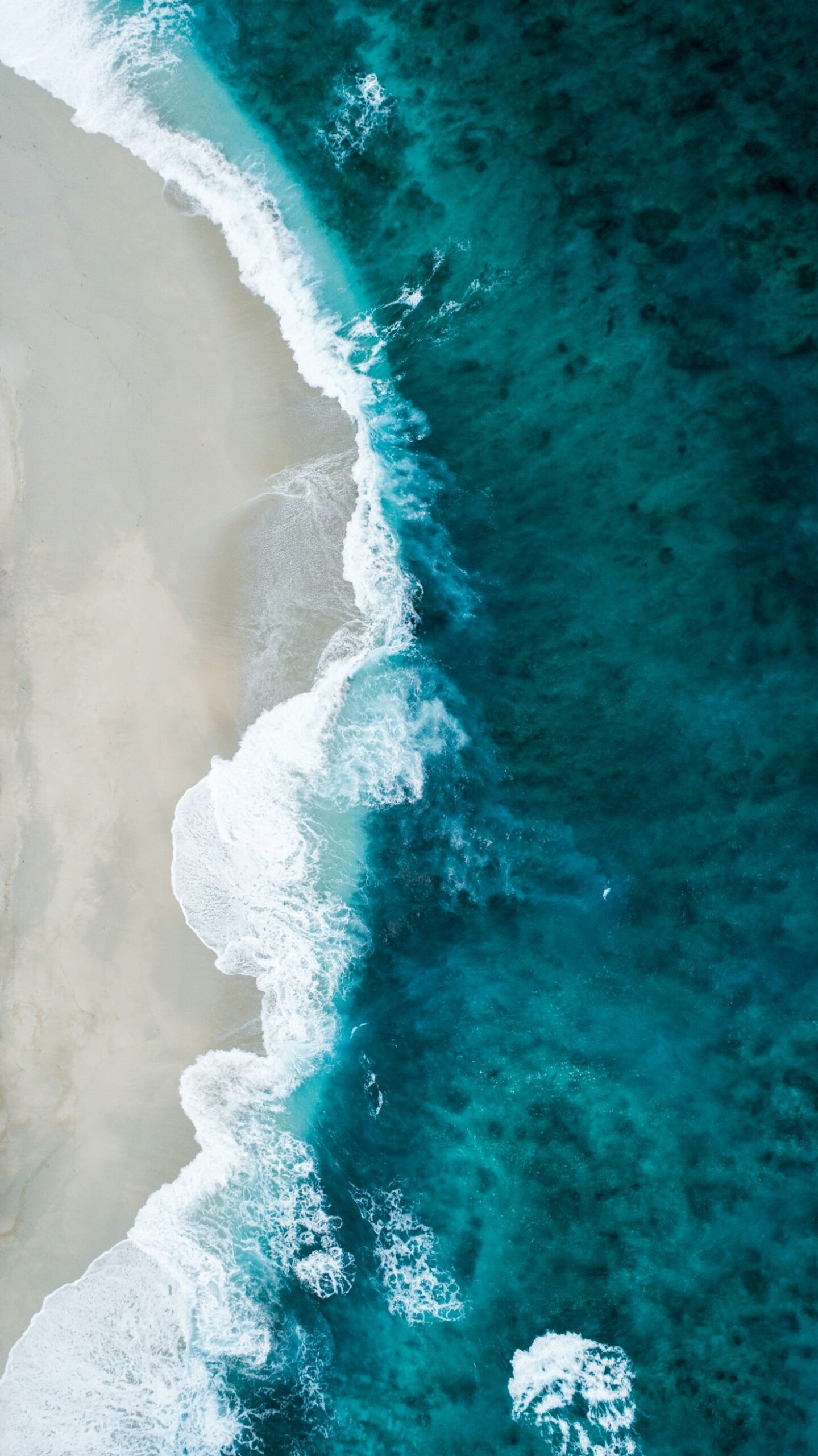 Navigating Complexity: Lessons from the Sea